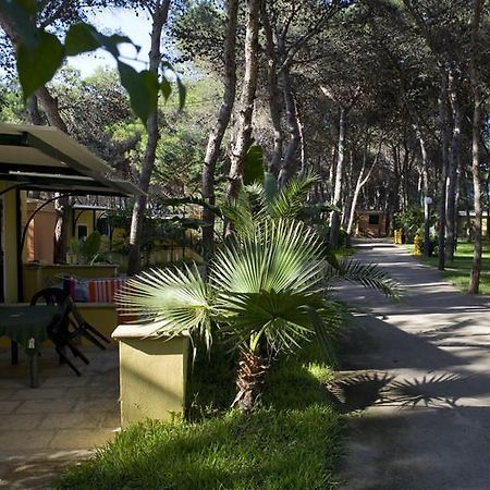 מלון גאליפולי Camping La Vecchia Torre מראה חיצוני תמונה