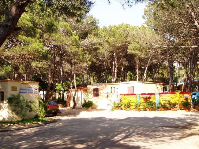 מלון גאליפולי Camping La Vecchia Torre מראה חיצוני תמונה