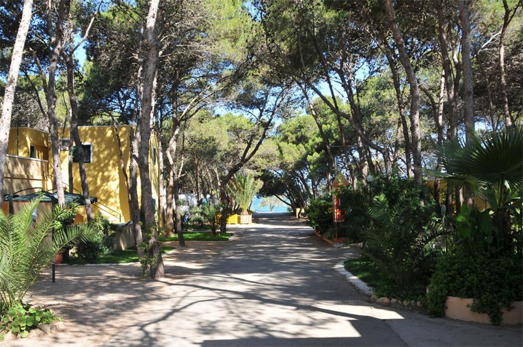 מלון גאליפולי Camping La Vecchia Torre מראה חיצוני תמונה