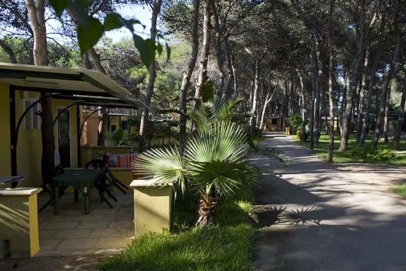 מלון גאליפולי Camping La Vecchia Torre מראה חיצוני תמונה